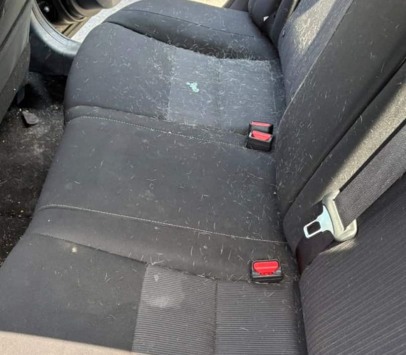 back seat interior before